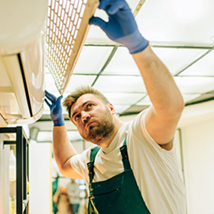 Experto evalúa la plaga